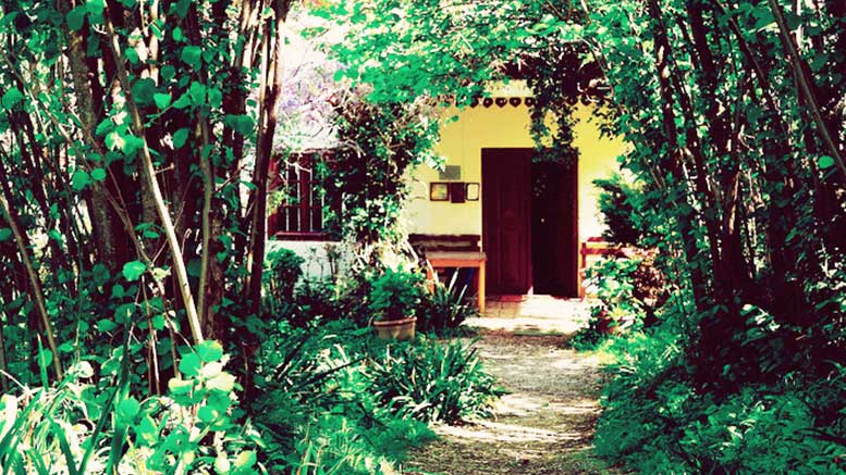 Çarşı Pazardan Alınanlar Şeffaf Poşetlerde Eve Geliyor!