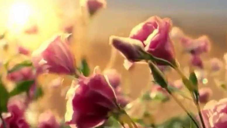 Her tavırda bir zarafet vardı Osmanlı zamanında